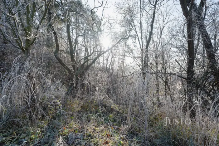 Prodej pozemku pro bydlení, Veletiny, 534 m2