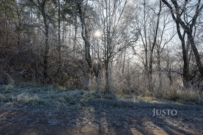 Prodej pozemku pro bydlení, Veletiny, 534 m2