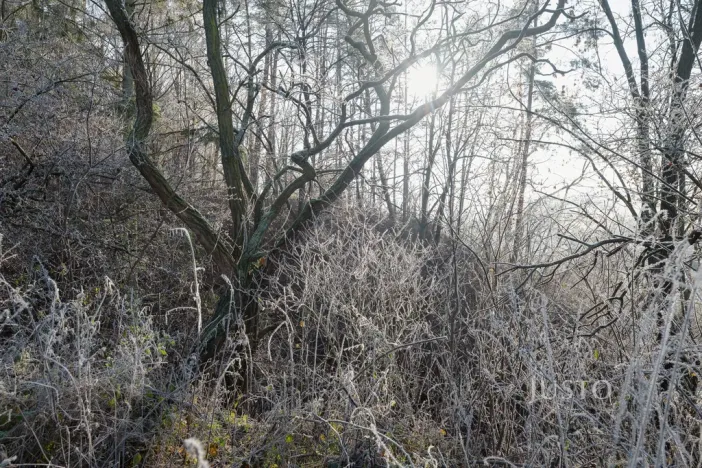 Prodej pozemku pro bydlení, Veletiny, 534 m2