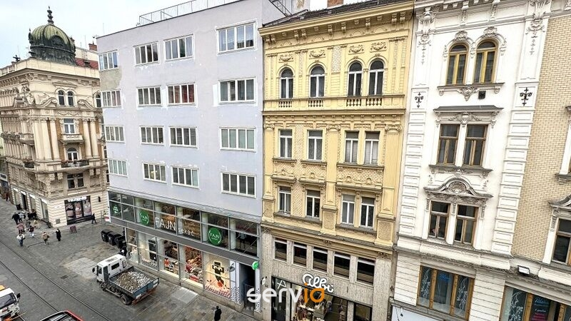 Pronájem bytu 3+1, Brno, Zelný trh, 104 m2