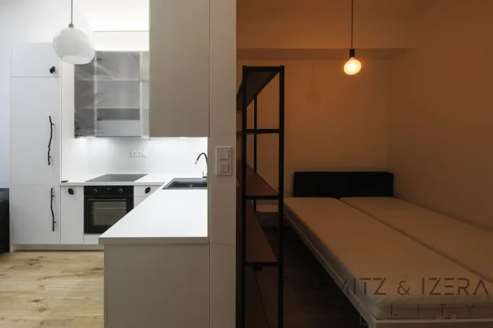 Pronájem bytu 2+kk, Praha - Nusle, Vrtbova, 49 m2