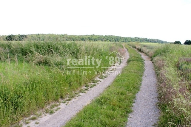 Prodej pozemku pro bydlení, Zahořany, 3573 m2