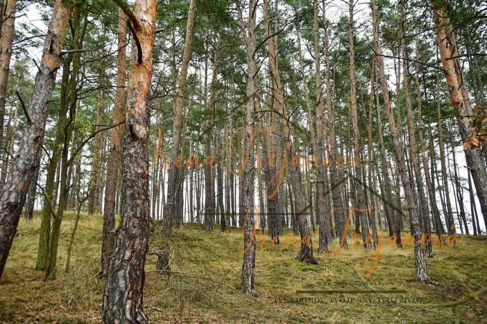 Prodej chaty, Svatý Jan, 45 m2