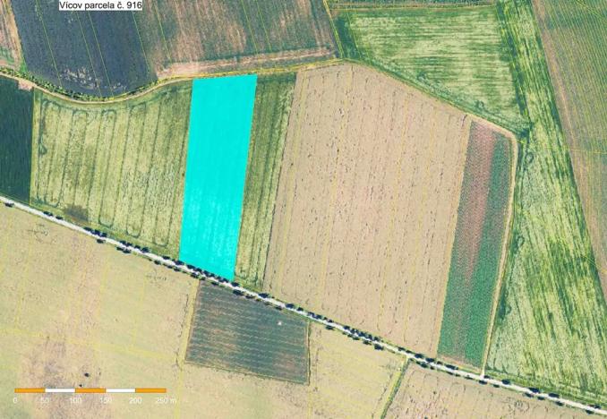 Prodej podílu pole, Vícov, 4344 m2