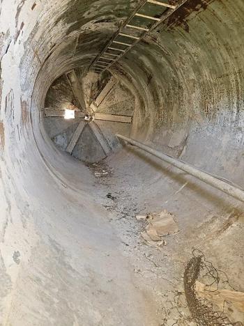 Prodej sadu/vinice, Velké Němčice, 3259 m2