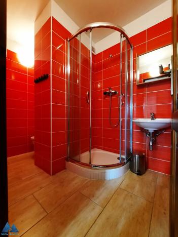 Pronájem bytu 4+kk, Vítkovice, 97 m2