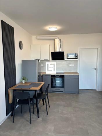 Pronájem bytu 1+kk, Olomouc, Aloise Rašína, 31 m2