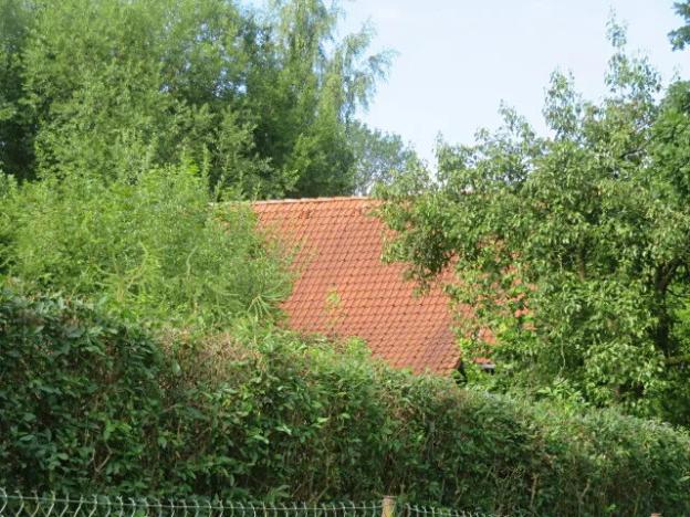 Dražba zahrady, Ústí nad Orlicí, 1390 m2