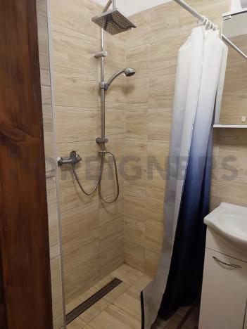 Pronájem bytu 1+kk, Brno, Štefánikova, 42 m2