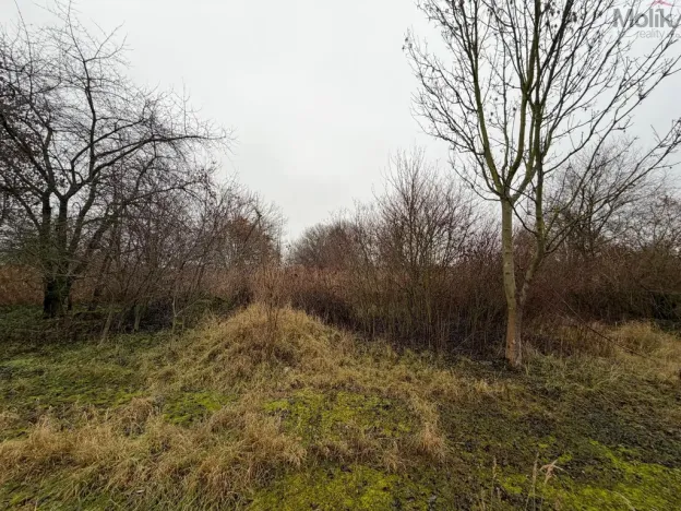 Prodej komerčního pozemku, Zabrušany, 15490 m2