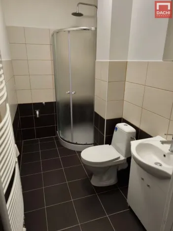 Pronájem bytu 1+kk, Olomouc, Dlouhá, 27 m2