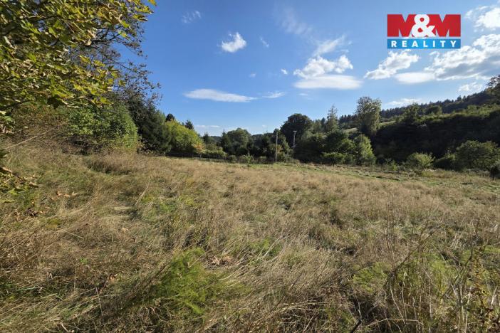 Prodej pozemku pro bydlení, Merklín - Lípa, 1763 m2