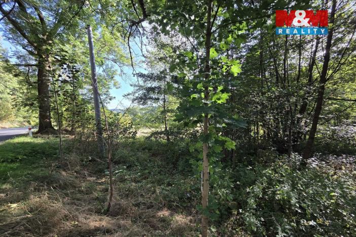 Prodej pozemku pro bydlení, Merklín - Lípa, 1763 m2