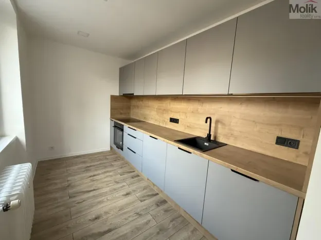 Pronájem bytu 2+1, Most, Maxe Švabinského, 54 m2