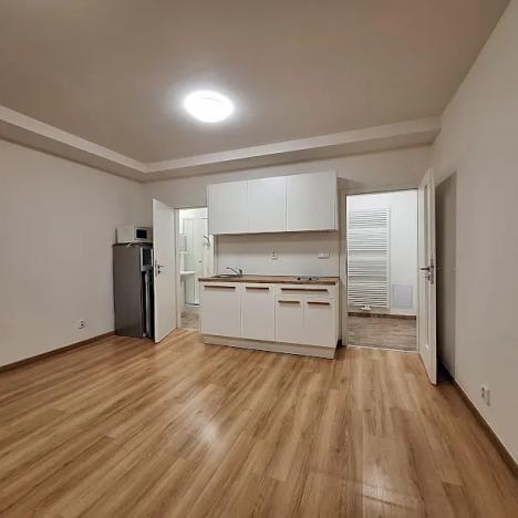 Pronájem bytu 1+kk, Praha - Bubeneč, U zeměpisného ústavu, 26 m2