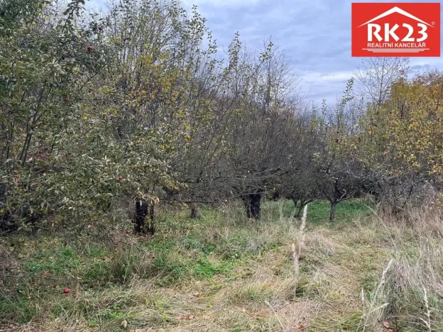 Prodej pozemku pro bydlení, Stráž - Olešná, 994 m2