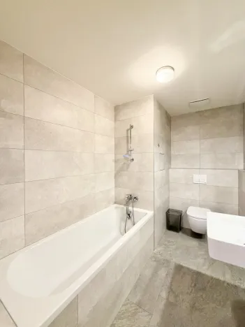 Pronájem bytu 2+kk, Liberec - Liberec I-Staré Město, Vítězná, 65 m2