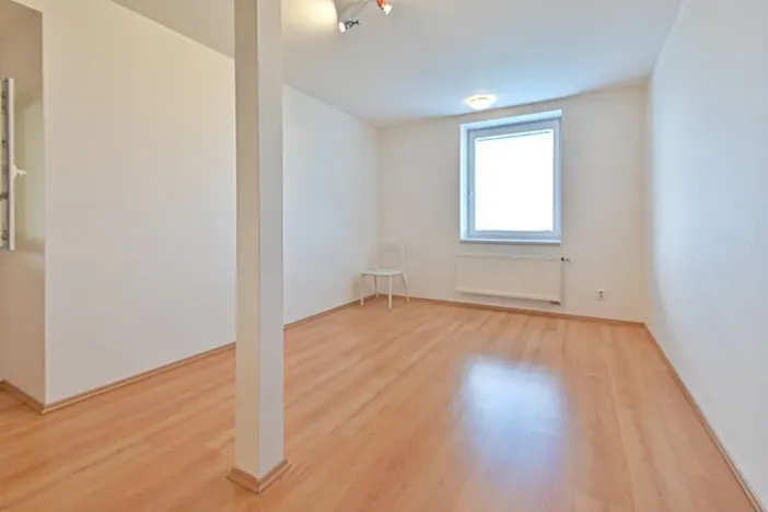 Pronájem bytu 4+kk, Brno, Pavlovská, 72 m2