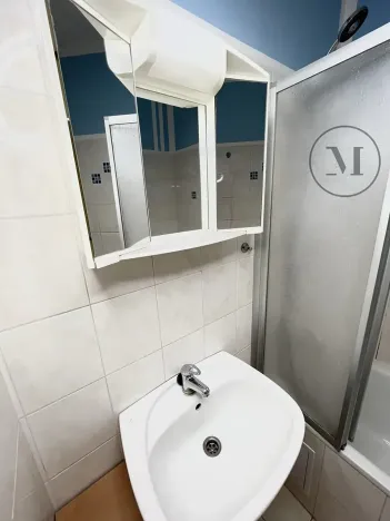 Pronájem bytu 2+1, České Budějovice, U Lesa, 46 m2