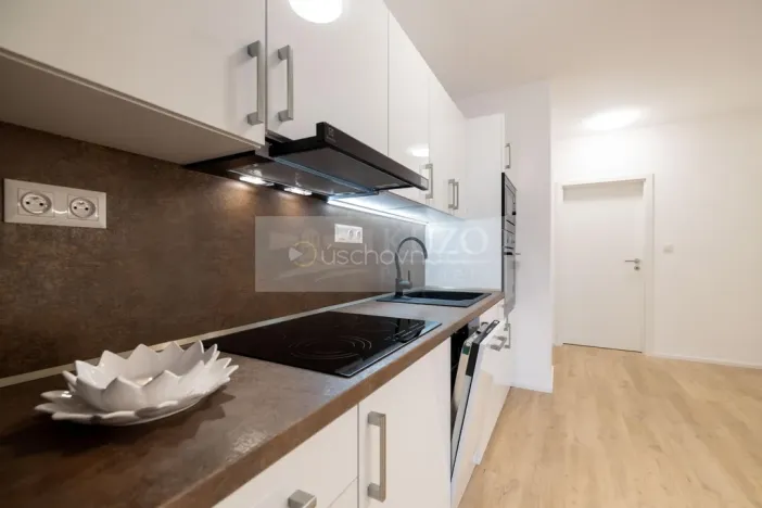 Pronájem bytu 2+kk, Brno, Auerswaldova, 51 m2