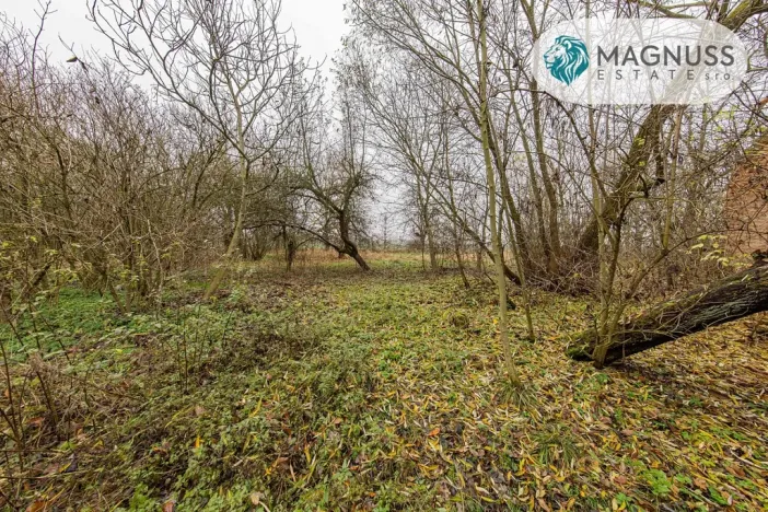 Prodej pozemku, Libina, 7132 m2