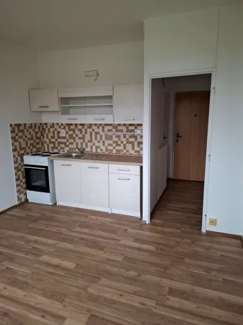 Pronájem bytu 1+kk, Duchcov, Osecká, 21 m2