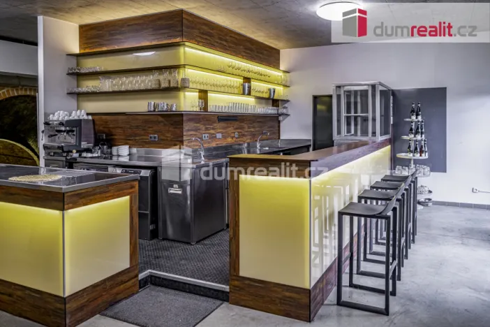 Prodej obchodního prostoru, Pavlov, Česká, 264 m2