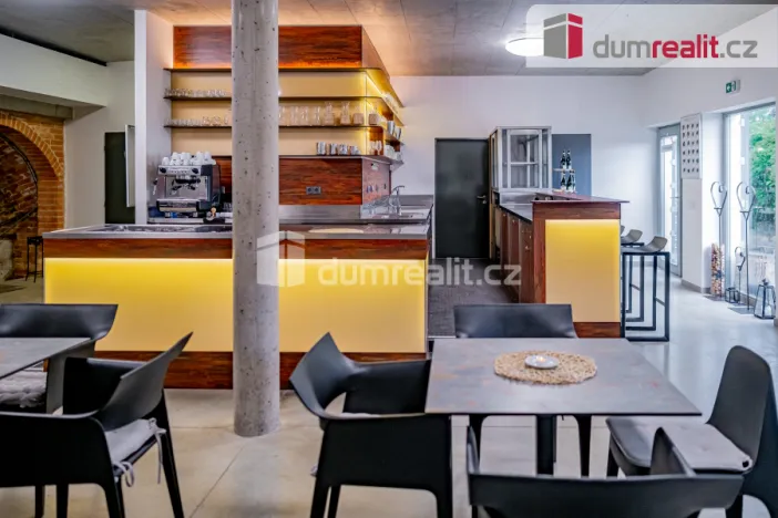 Prodej obchodního prostoru, Pavlov, Česká, 264 m2