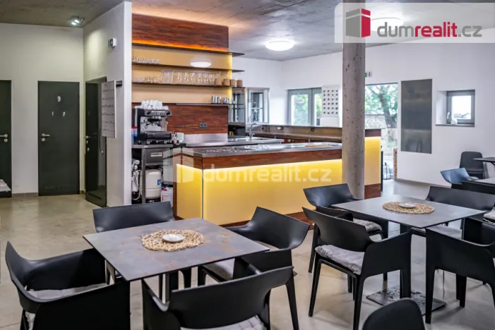 Prodej obchodního prostoru, Pavlov, Česká, 264 m2