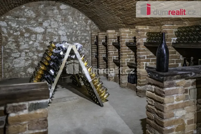 Prodej obchodního prostoru, Pavlov, Česká, 264 m2