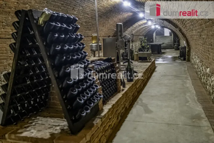 Prodej obchodního prostoru, Pavlov, Česká, 264 m2