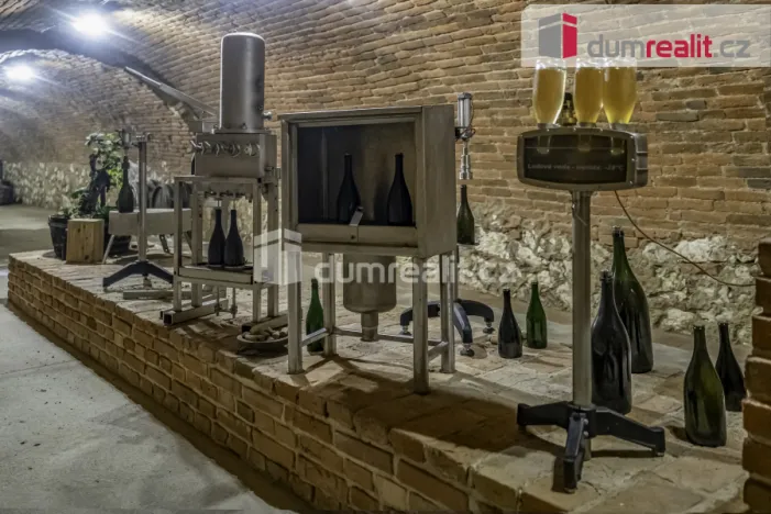 Prodej obchodního prostoru, Pavlov, Česká, 264 m2