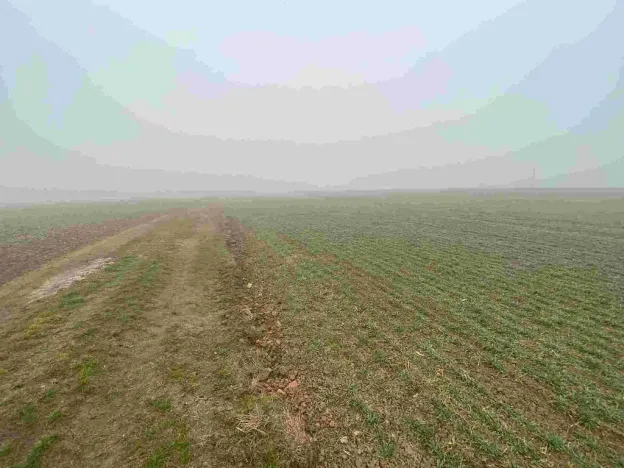 Prodej pole, Ctidružice, 58835 m2