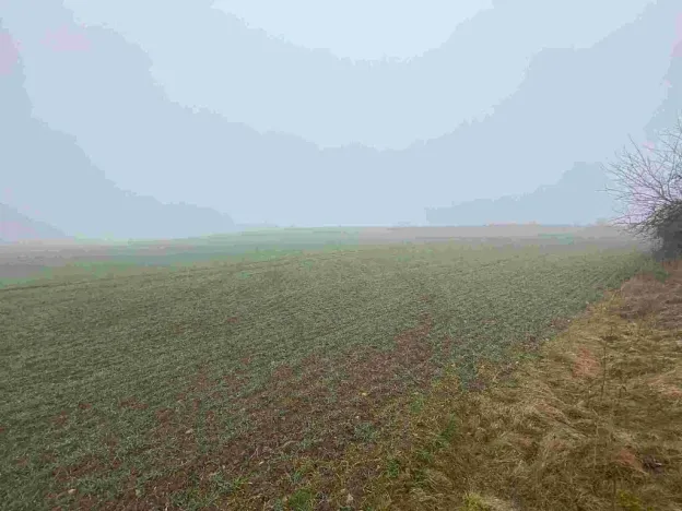 Prodej pole, Ctidružice, 58835 m2