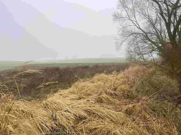 Prodej pole, Ctidružice, 58835 m2