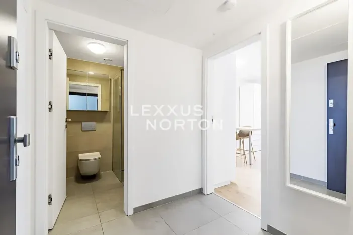 Pronájem bytu 1+kk, Praha - Smíchov, Holečkova, 34 m2