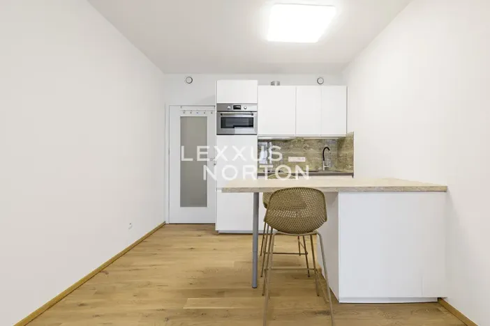 Pronájem bytu 1+kk, Praha - Smíchov, Holečkova, 34 m2