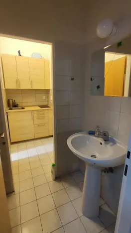 Prodej obchodního prostoru, Praha, Wenzigova, 52 m2