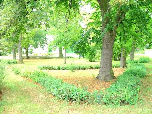 Prodej zemědělské usedlosti, Kolešov, 500 m2