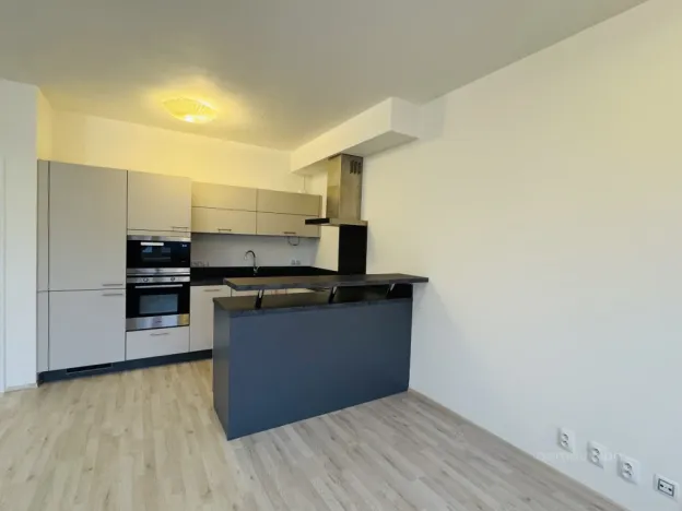 Pronájem bytu 1+kk, Brno - Slatina, Kigginsova, 42 m2