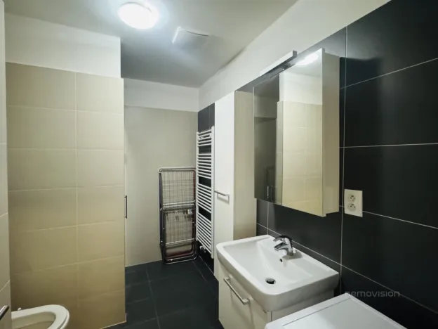 Pronájem bytu 1+kk, Brno - Slatina, Kigginsova, 42 m2