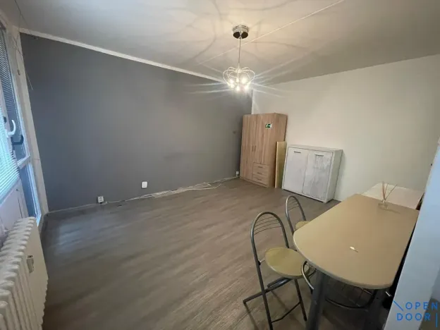 Pronájem bytu 1+kk, Bílina - Pražské Předměstí, Alšova, 27 m2