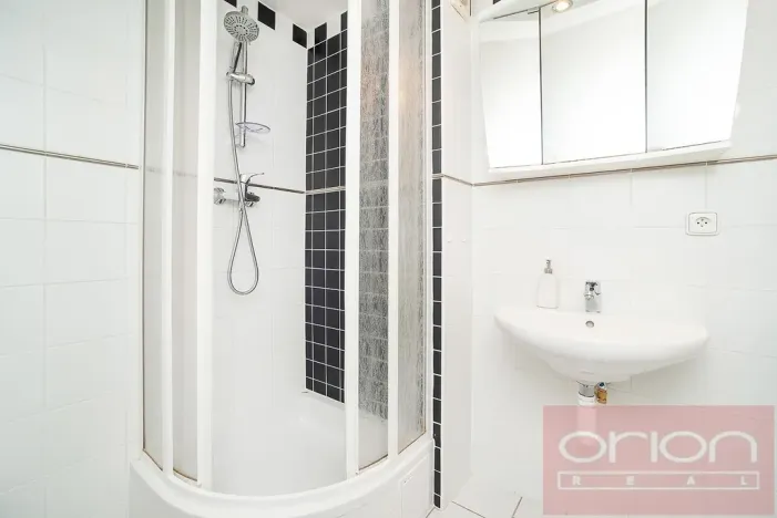 Pronájem bytu 2+1, Praha - Žižkov, Bořivojova, 100 m2