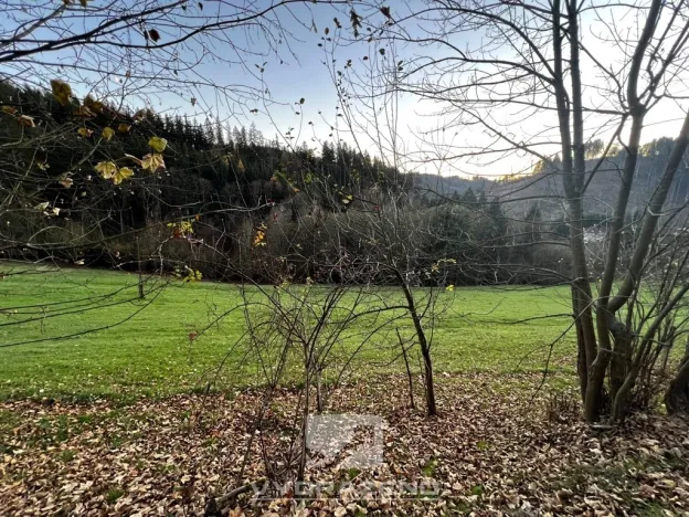 Prodej louky, Jesenný, 2409 m2