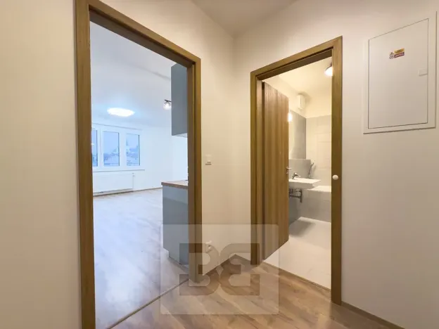 Pronájem bytu 1+kk, Liberec, Švermova, 37 m2