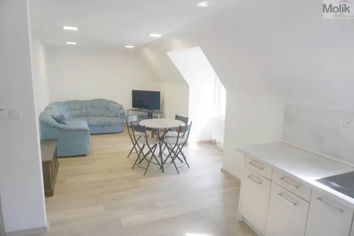 Pronájem bytu 2+kk, Litvínov - Horní Litvínov, Mánesova, 45 m2