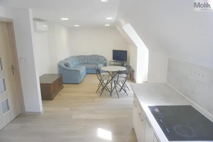 Pronájem bytu 2+kk, Litvínov - Horní Litvínov, Mánesova, 45 m2