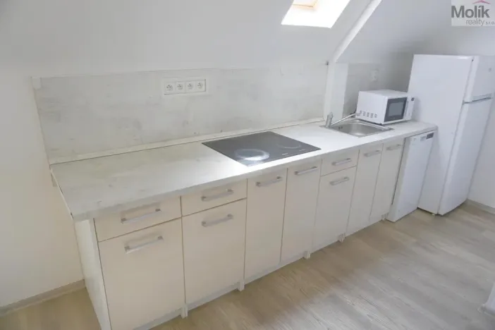 Pronájem bytu 2+kk, Litvínov - Horní Litvínov, Mánesova, 45 m2