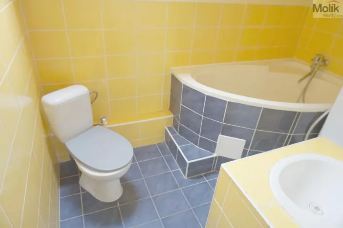 Pronájem bytu 2+kk, Litvínov - Horní Litvínov, Mánesova, 45 m2