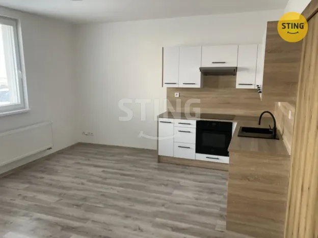 Pronájem bytu 2+kk, Opava, Hviezdoslavova, 52 m2